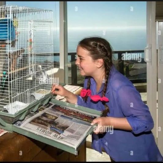 old newspapers scrap / 1kg