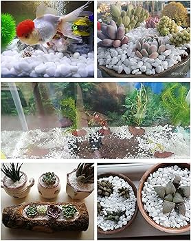 Fish Tank Gravel Rocks Marble Chips Gravel Stones Aquarium Natural Gravel white Colour For Garden Plant Decor, Decorative Stones 1 KG