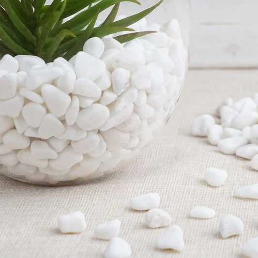 Fish Tank Gravel Rocks Marble Chips Gravel Stones Aquarium Natural Gravel white Colour For Garden Plant Decor, Decorative Stones 1 KG