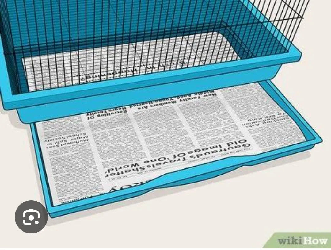 old newspapers scrap / 1kg