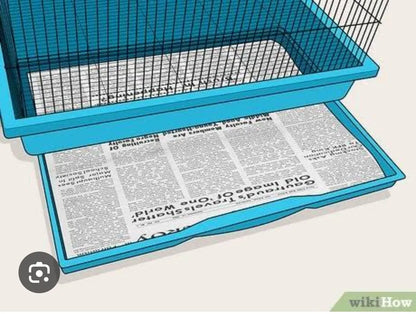 old newspapers scrap / 1kg