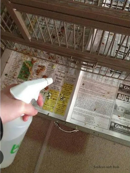 old newspapers scrap / 1kg